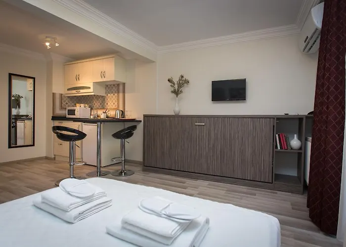 מלון דירות Vintage House Taksim איסטמבול