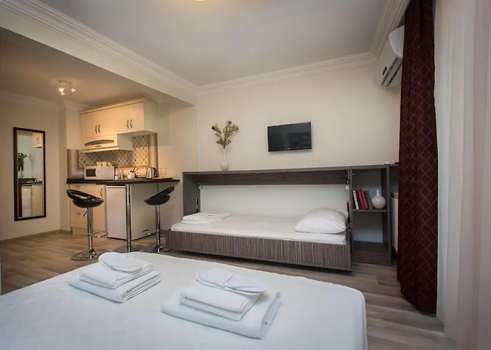 Vintage House Taksim מלון דירות 3*